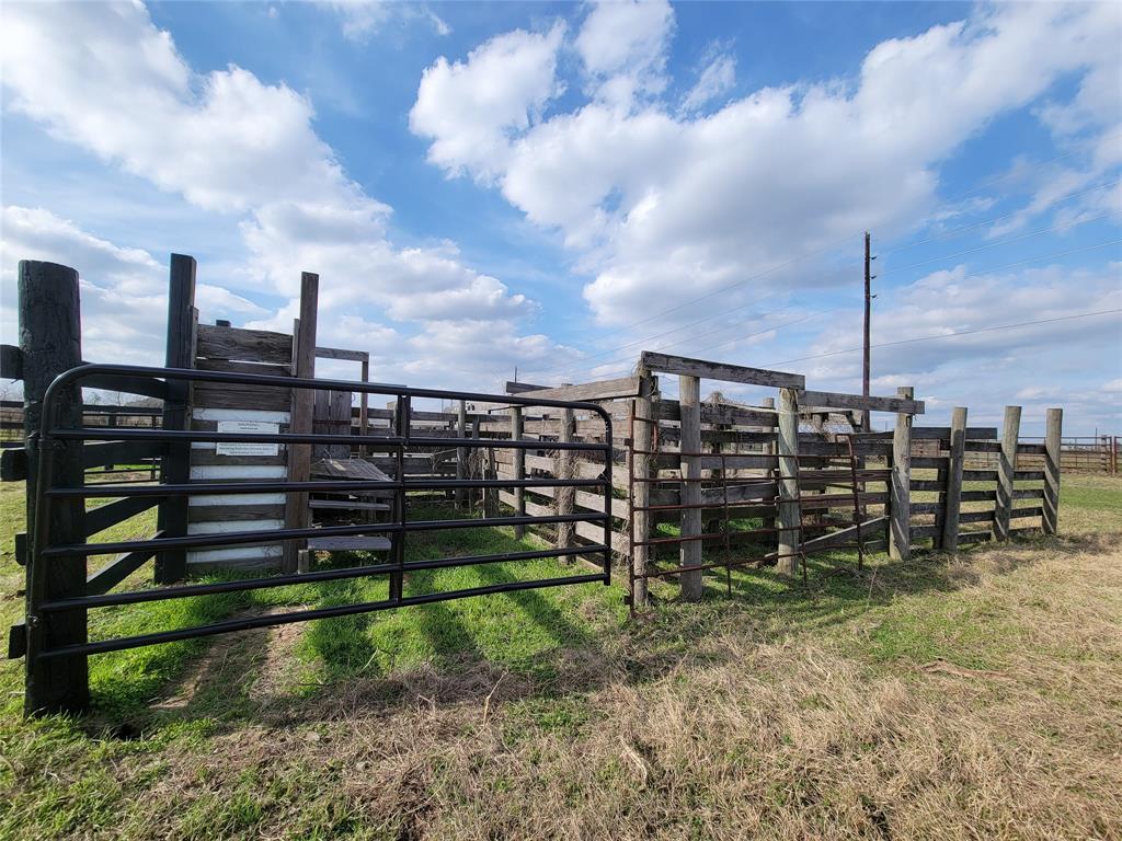 2737 Pyka Road, Sealy, Texas image 38