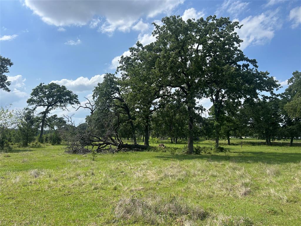 26795 Rice Road, Hockley, Texas image 4