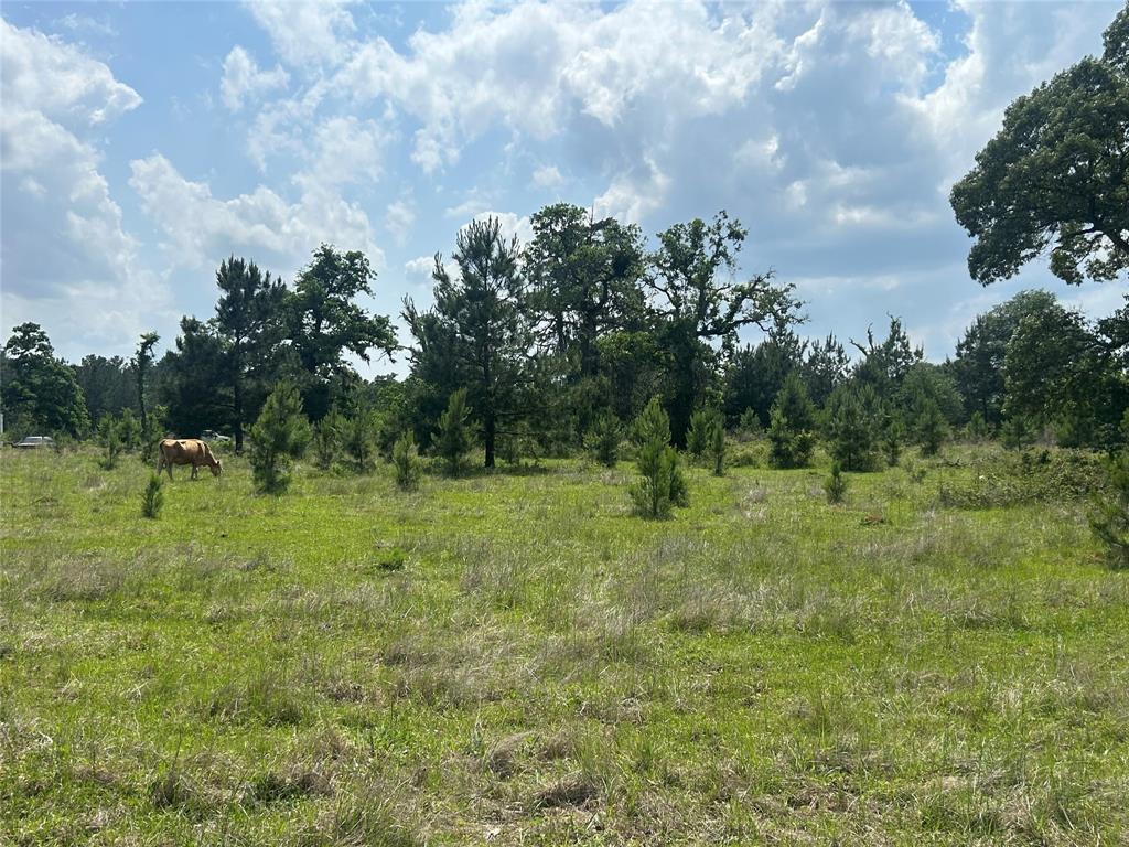 26795 Rice Road, Hockley, Texas image 5