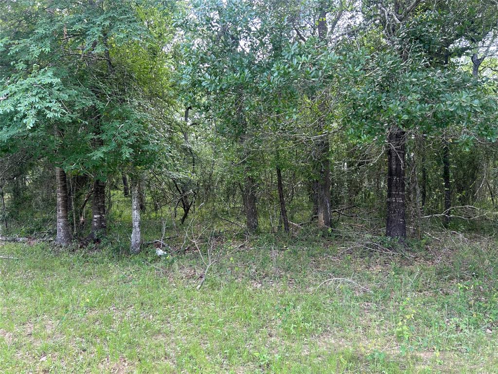 26795 Rice Road, Hockley, Texas image 18
