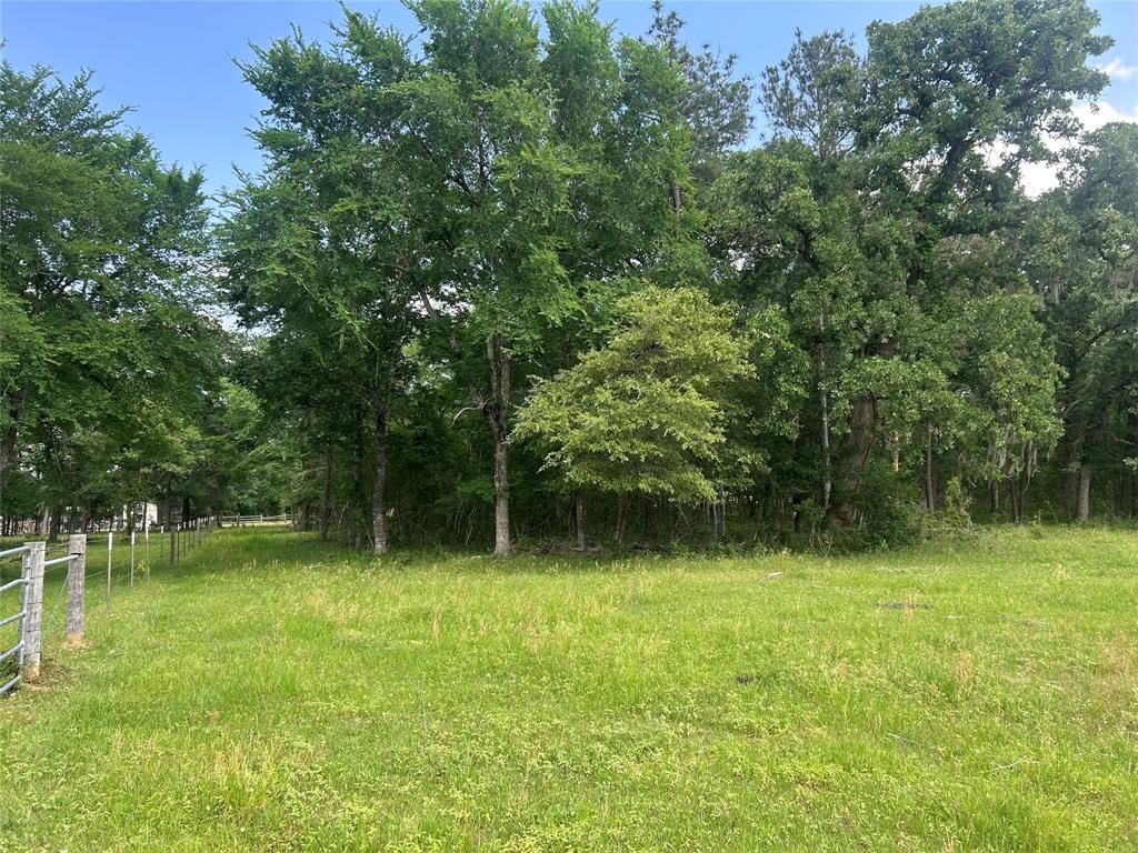 26795 Rice Road, Hockley, Texas image 21