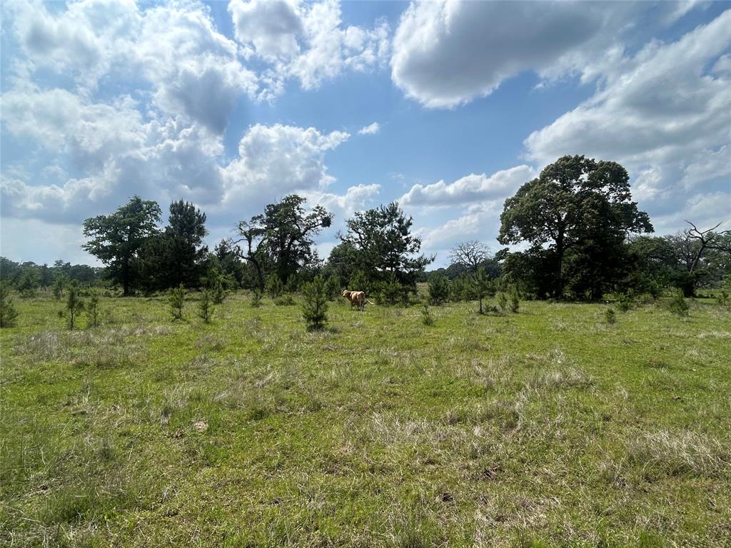 26795 Rice Road, Hockley, Texas image 7