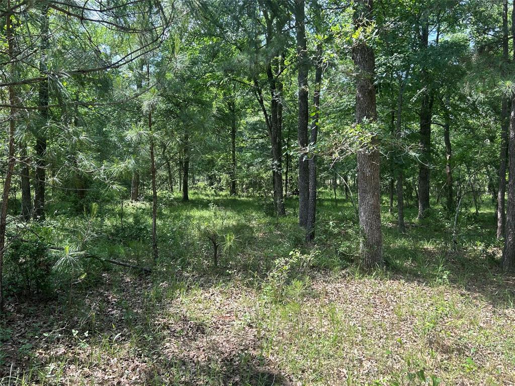 26795 Rice Road, Hockley, Texas image 12