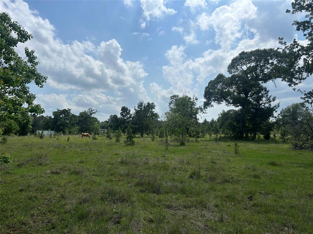 26795 Rice Road, Hockley, Texas image 11