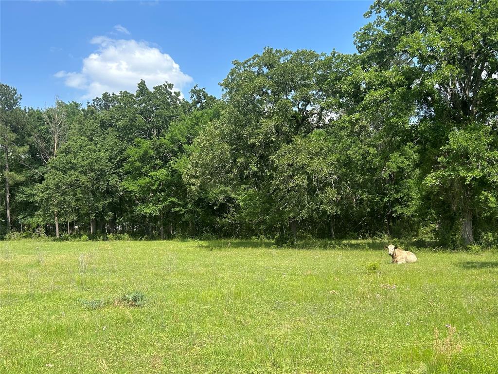 26795 Rice Road, Hockley, Texas image 6