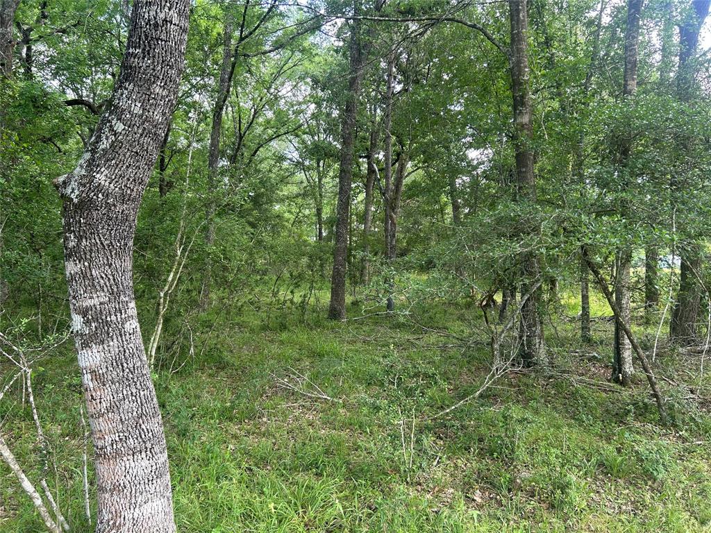 26795 Rice Road, Hockley, Texas image 20