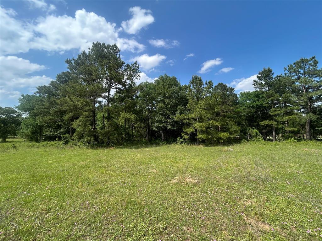 26795 Rice Road, Hockley, Texas image 9