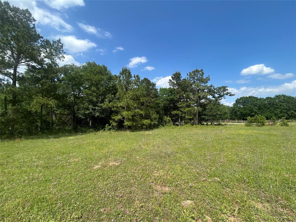26795 Rice Road, Hockley, Texas image 10