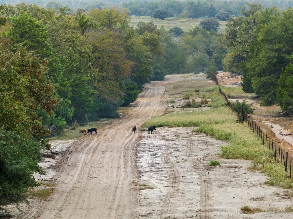 511 Lcr 793, Groesbeck, Texas image 7