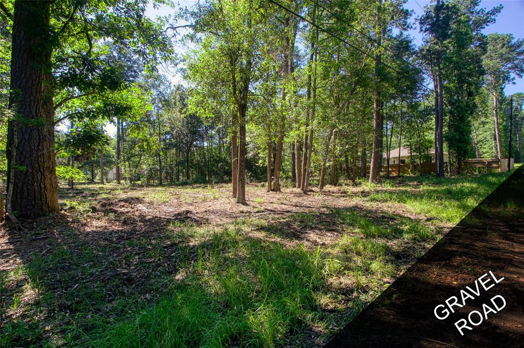 TBD LOT 61 Chestnut Drive, Montgomery, Texas image 3