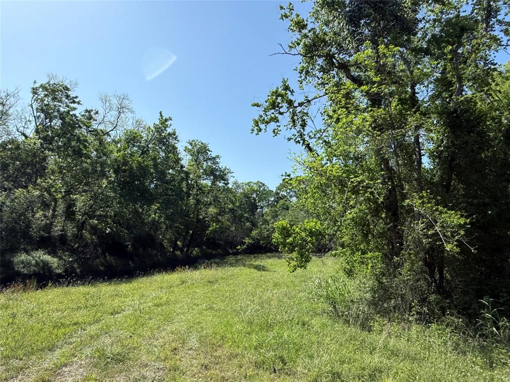 381 Cr-171, Danbury, Texas image 10