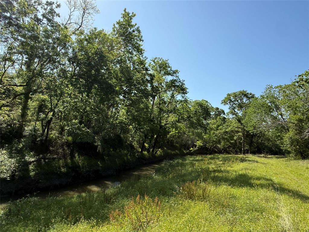 381 Cr-171, Danbury, Texas image 9