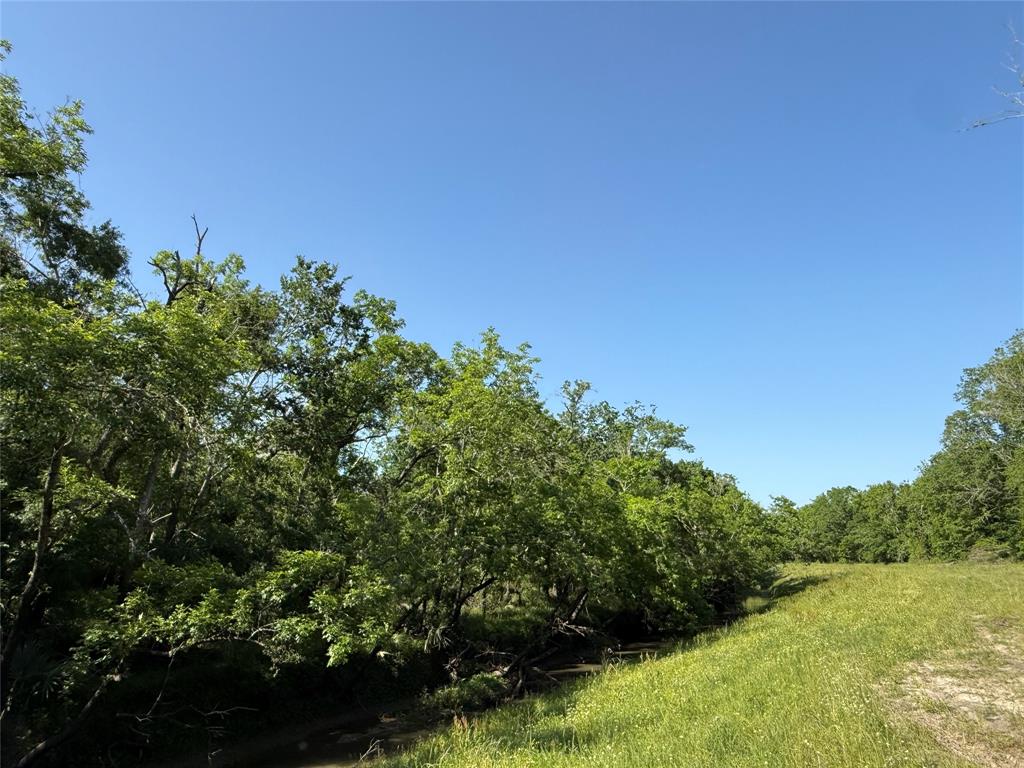 381 Cr-171, Danbury, Texas image 8