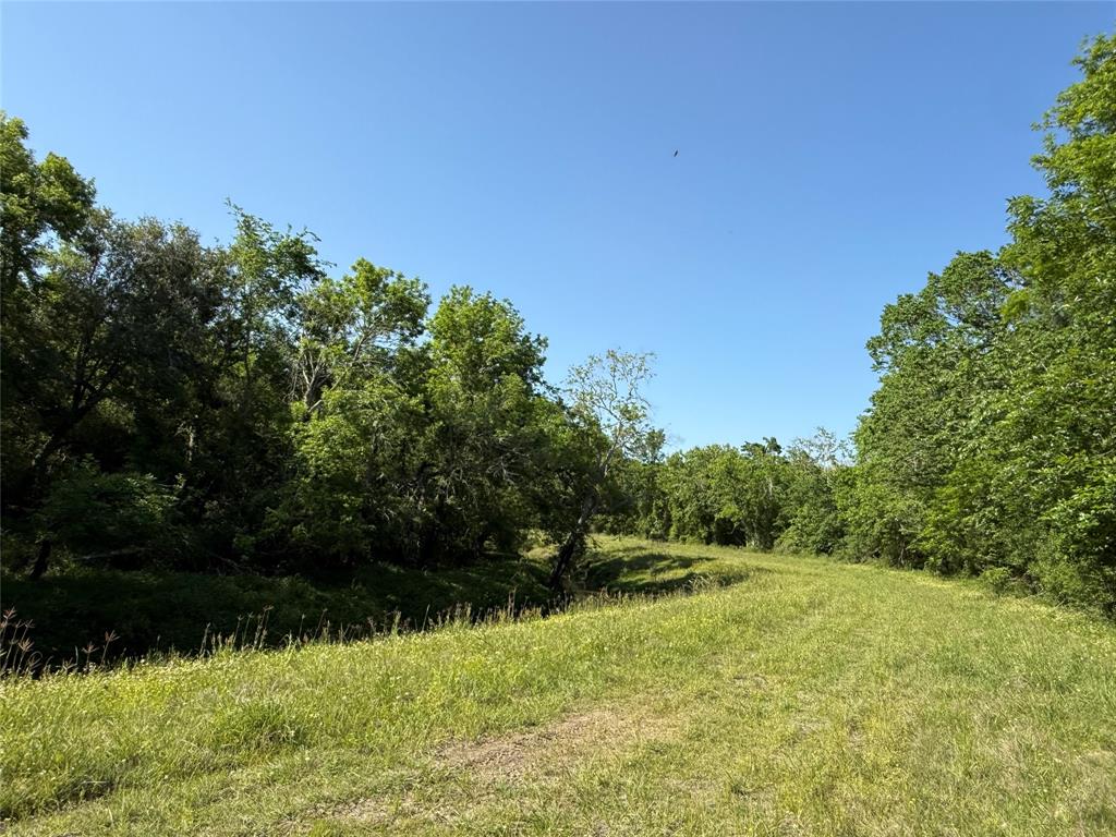 381 Cr-171, Danbury, Texas image 7
