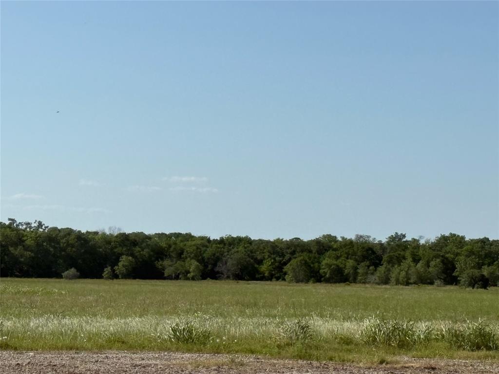 381 Cr-171, Danbury, Texas image 2