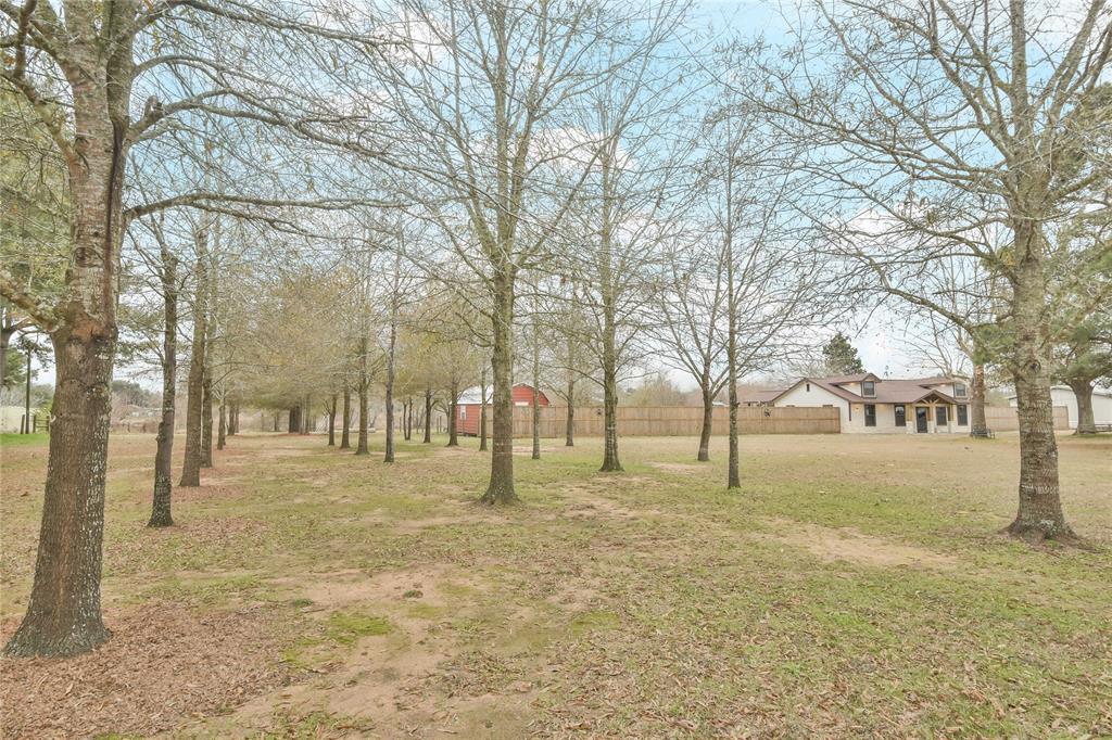 30925 Pohl Road, Waller, Texas image 4