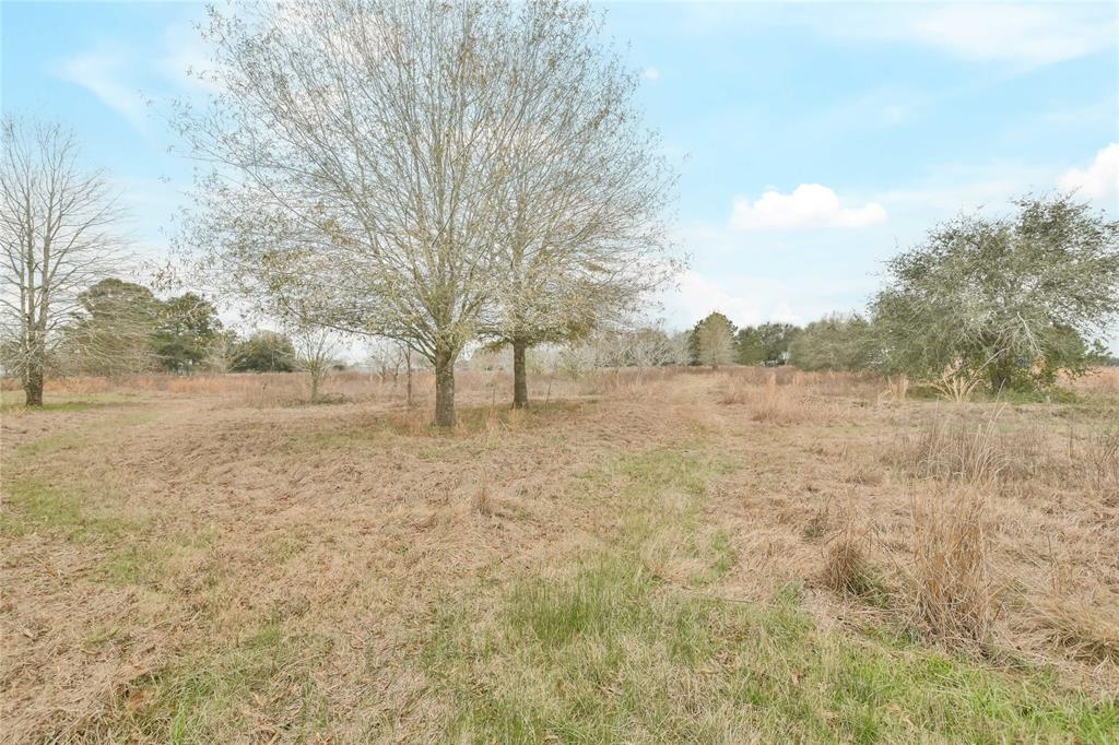 30925 Pohl Road, Waller, Texas image 8