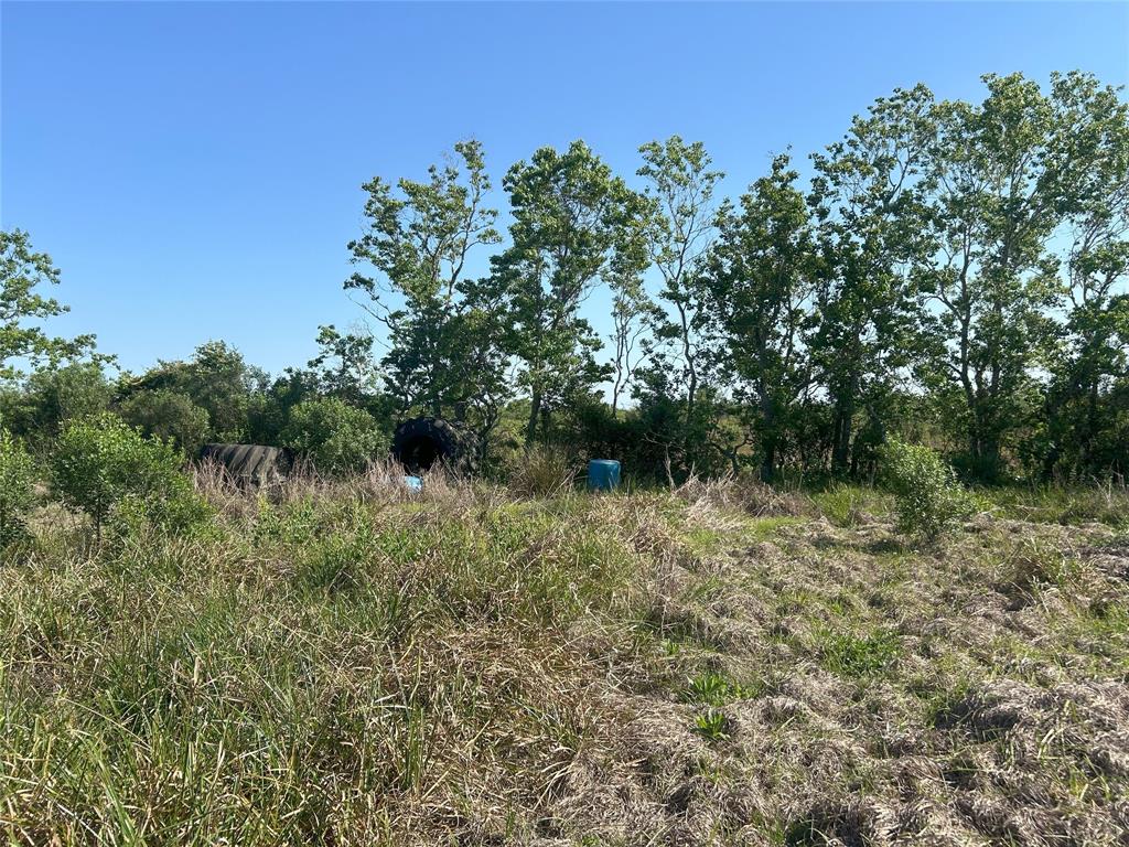 19 County Road 533, Angleton, Texas image 11