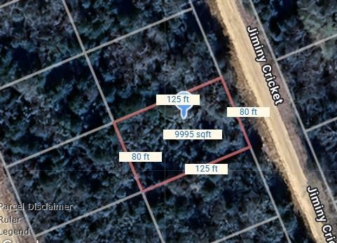 Lot 5 Jiminy Cricket, Normangee, Texas image 2