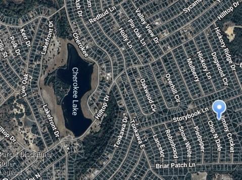 Lot 5 Jiminy Cricket, Normangee, Texas image 3