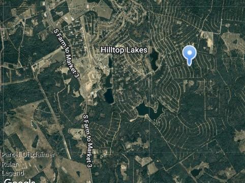 Lot 5 Jiminy Cricket, Normangee, Texas image 4