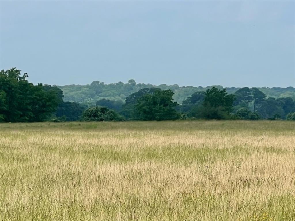 38 Acres Shaws Bend Rd, Columbus, Texas image 1