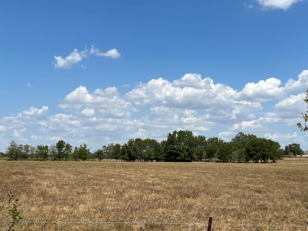 38 Acres Shaws Bend Rd, Columbus, Texas image 9