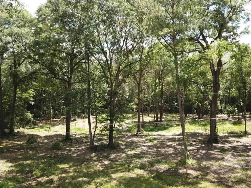 TBD N Nellius, Woodville, Texas image 19