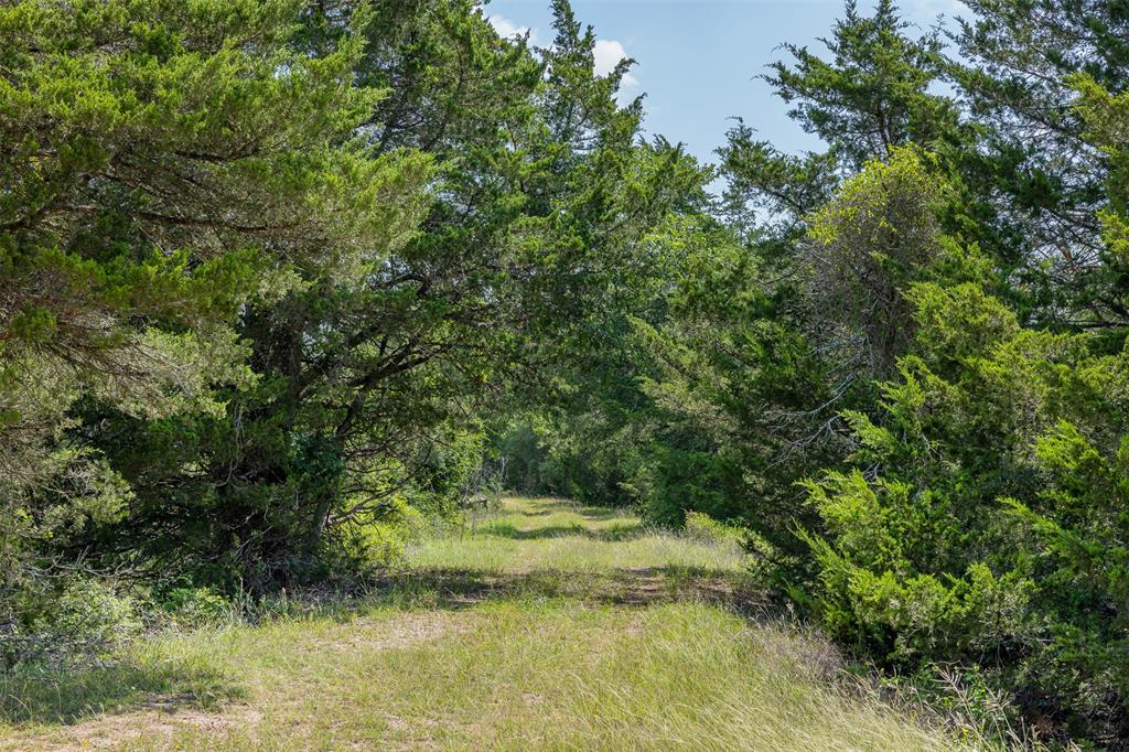TBD Halamicek Loop, Fayetteville, Ohio image 24