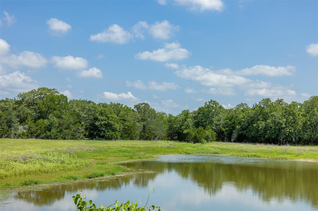 TBD Halamicek Loop, Fayetteville, Ohio image 6