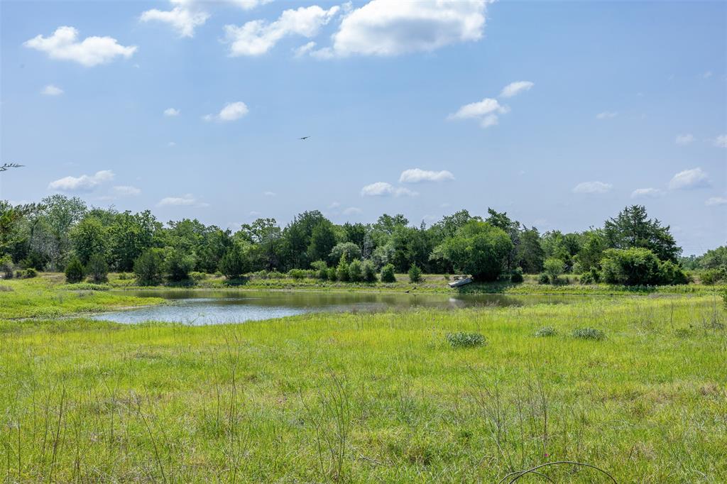 TBD Halamicek Loop, Fayetteville, Ohio image 8
