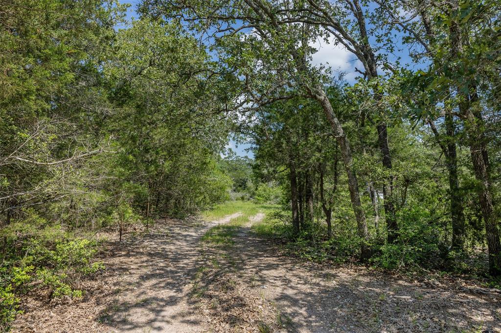 TBD Halamicek Loop, Fayetteville, Ohio image 9