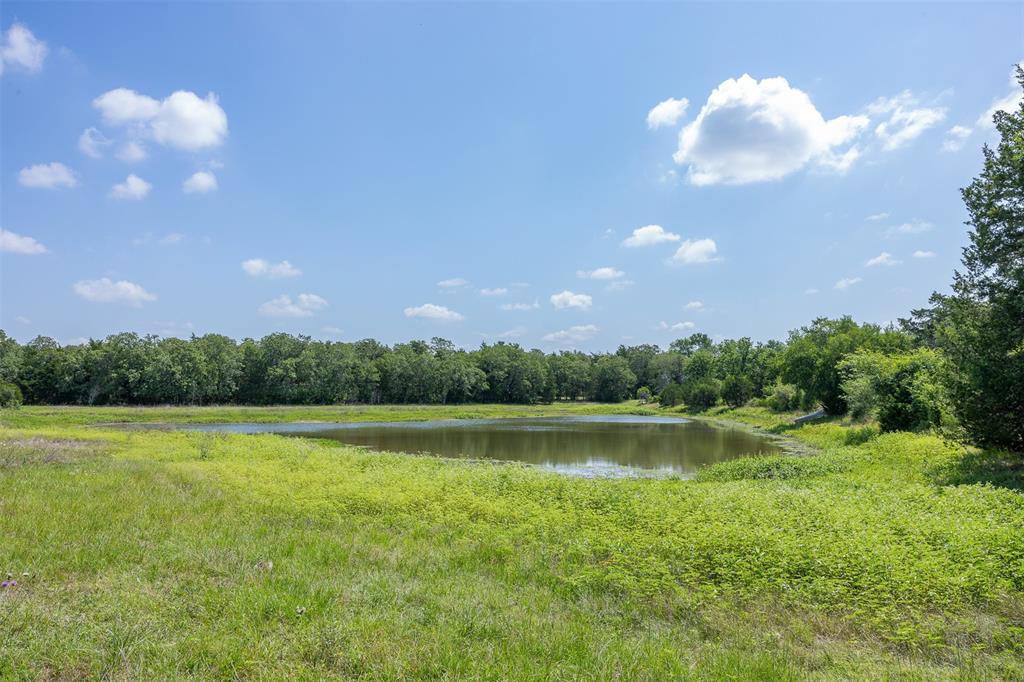 TBD Halamicek Loop, Fayetteville, Ohio image 5