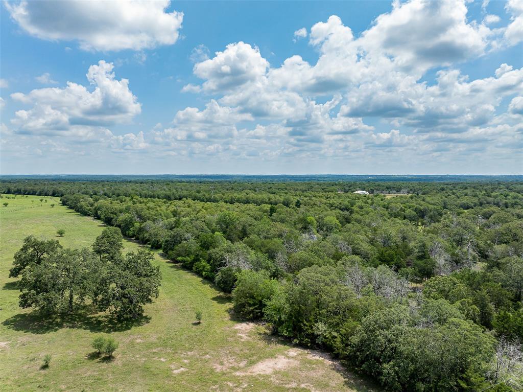 TBD Halamicek Loop, Fayetteville, Ohio image 34