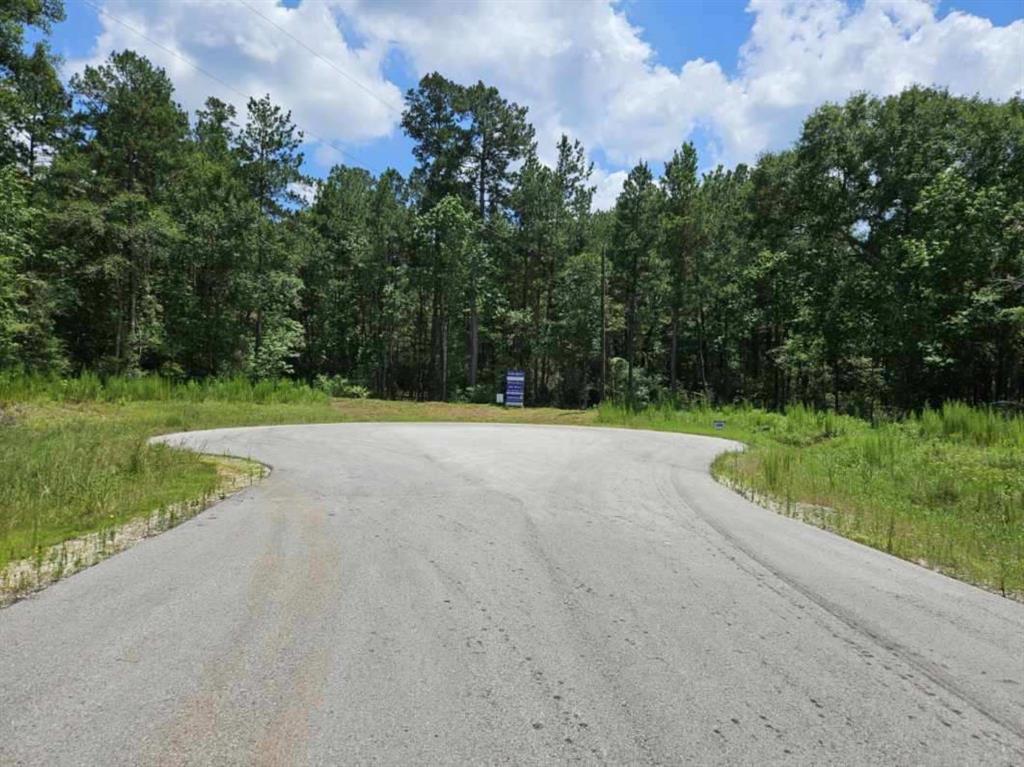 1 Fluorite Court, Huntsville, Texas image 6