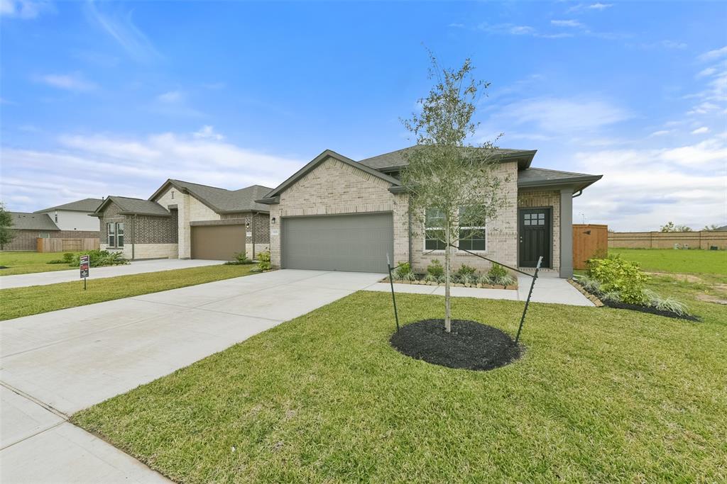 1118 Wildflower Way Drive, Beasley, Texas image 1