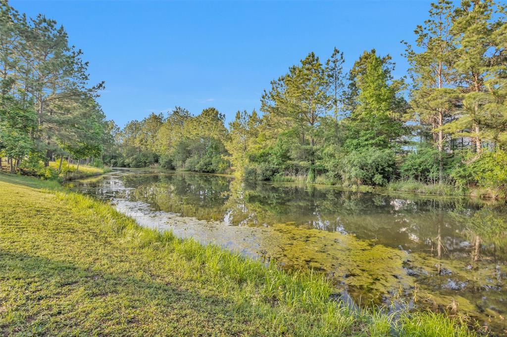 11409 E Zoe Loop Drive, Montgomery, Texas image 47