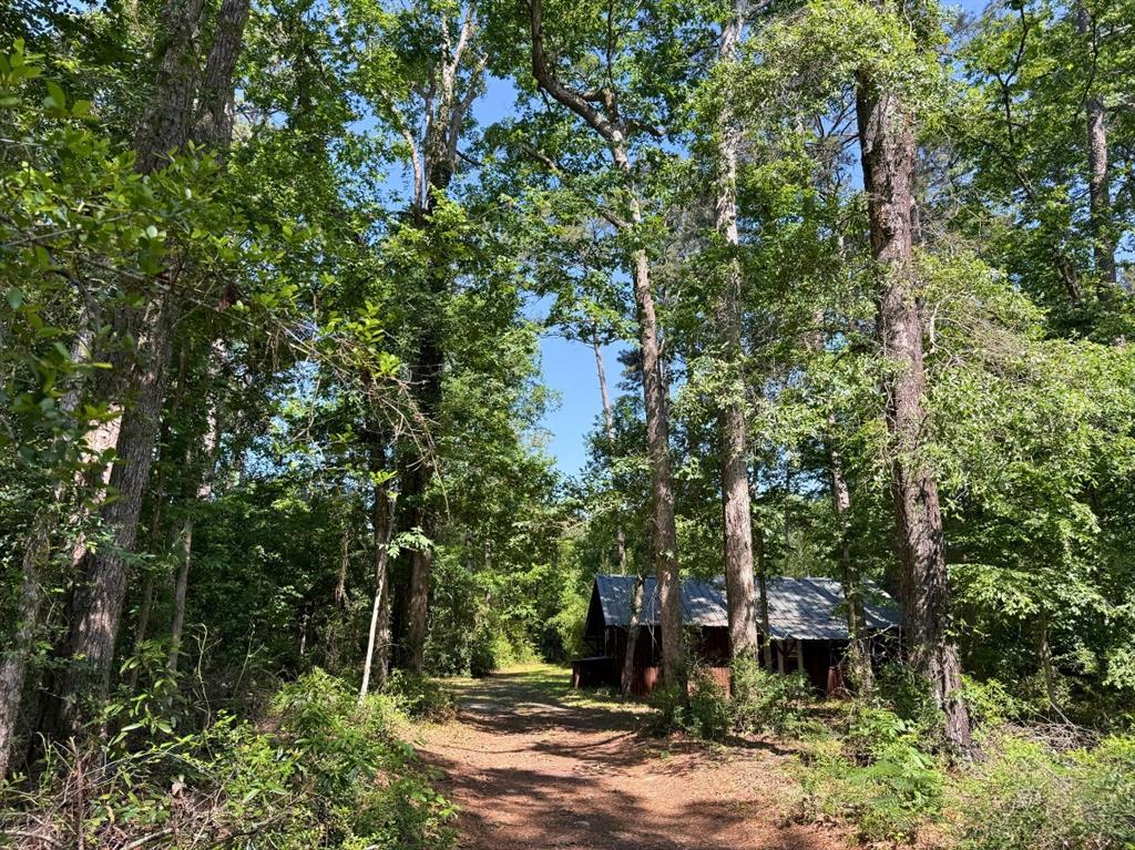 156 Bald Eagle Drive Dr, Livingston, Texas image 19