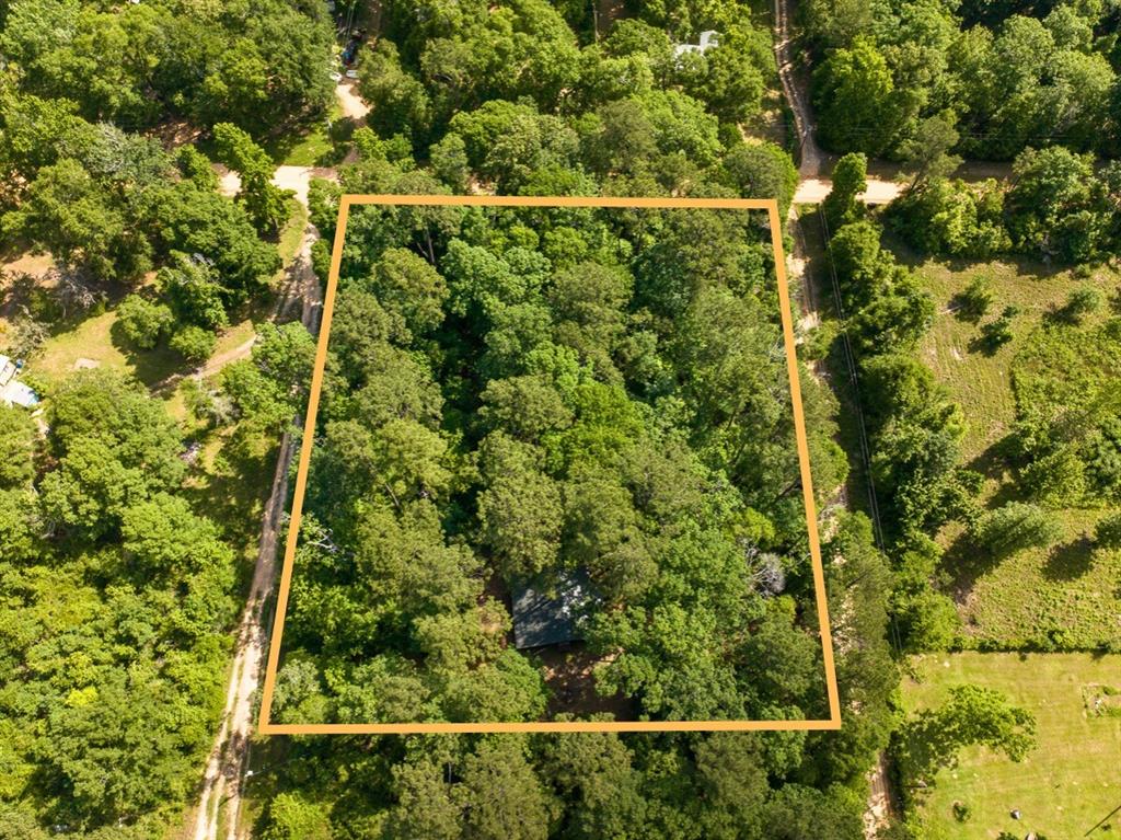 156 Bald Eagle Drive Dr, Livingston, Texas image 21