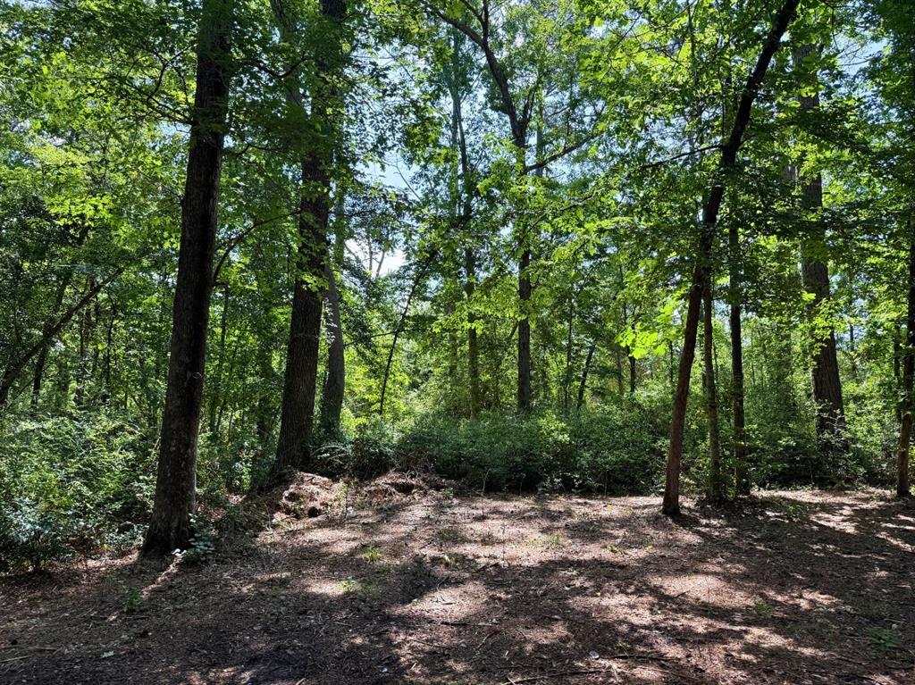 156 Bald Eagle Drive Dr, Livingston, Texas image 17