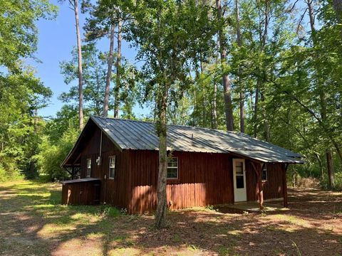 Photo of 156 Bald Eagle Drive Dr, Livingston, TX 77351 (MLS # 81487278)