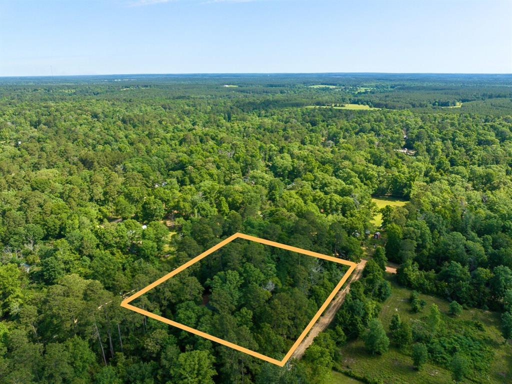 156 Bald Eagle Drive Dr, Livingston, Texas image 22