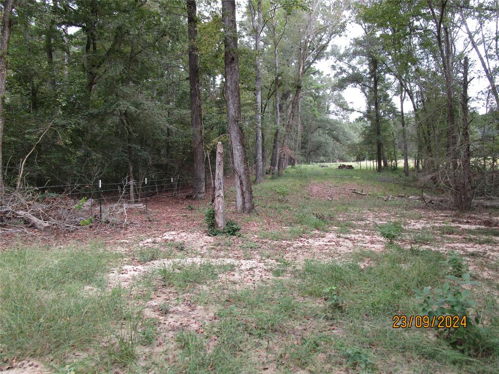 8303 Fm 228, Grapeland, Texas image 32