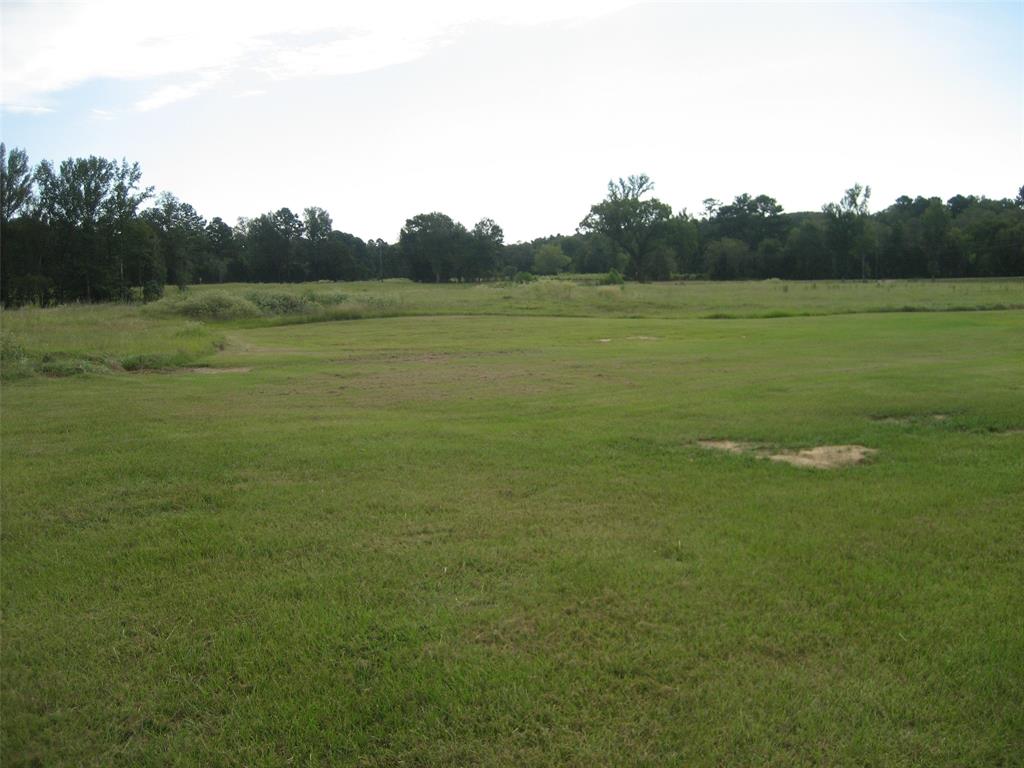 8303 Fm 228, Grapeland, Texas image 18