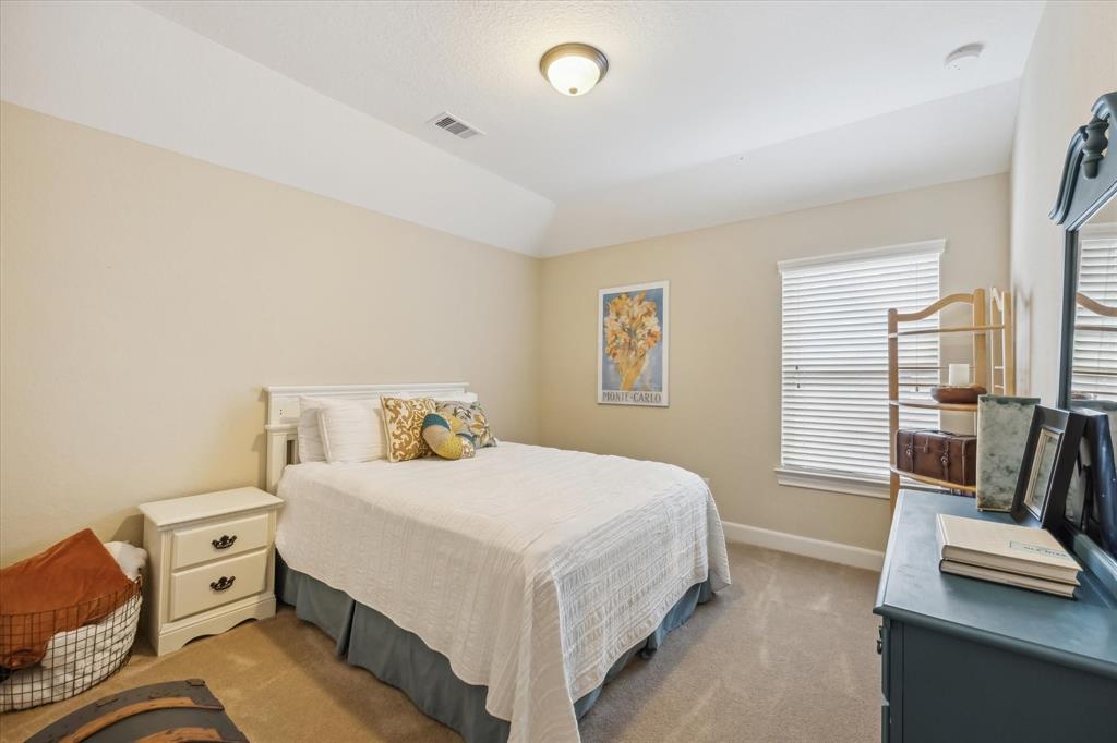 28703 Maple Red Drive, Katy, Texas image 22