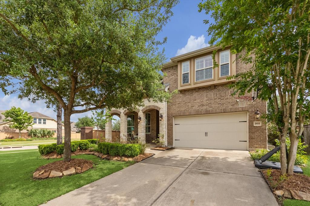 28703 Maple Red Drive