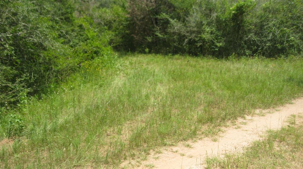 Lot 16 Mocking Bird, Hempstead, Texas image 13