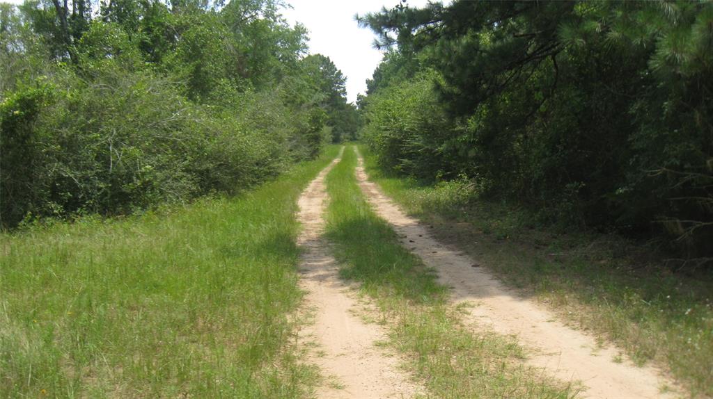 Lot 16 Mocking Bird, Hempstead, Texas image 11