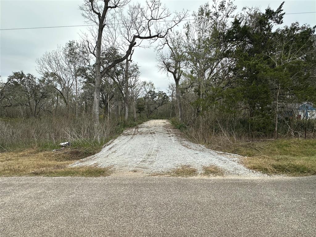 16532 County Road 729, Brazoria, Texas image 1