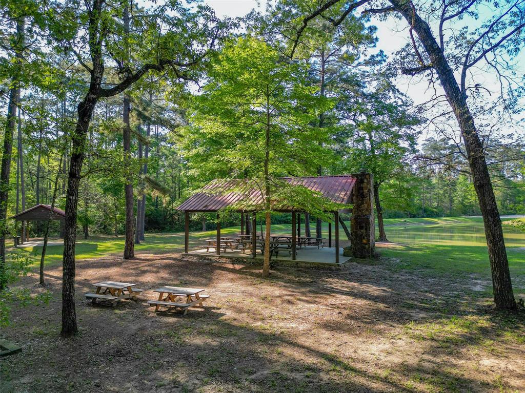 1-6-17 Dedication Trail, Huntsville, Texas image 13